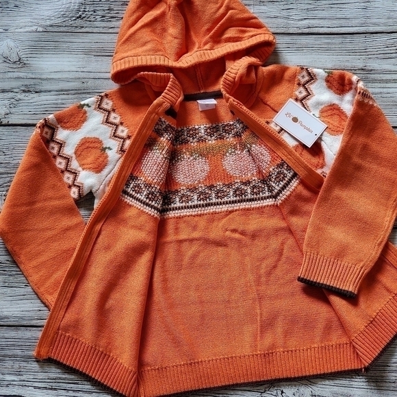 Gymboree Orange Pumpkin Sweater Lil's Pumpkin Collection Hooded Zip Up Sweater - Picture 6 of 14